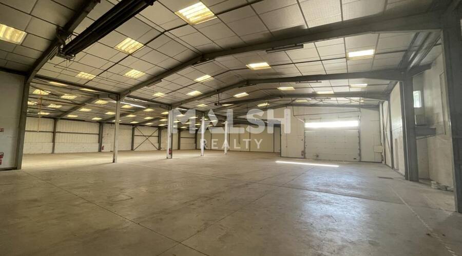 REXIM - Local d'activités - Rhône - Alix - 3