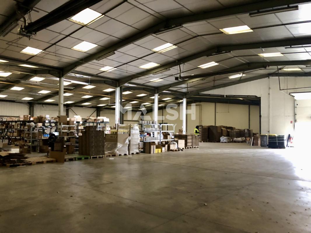 REXIM - Local d'activités - Rhône - Alix - 5