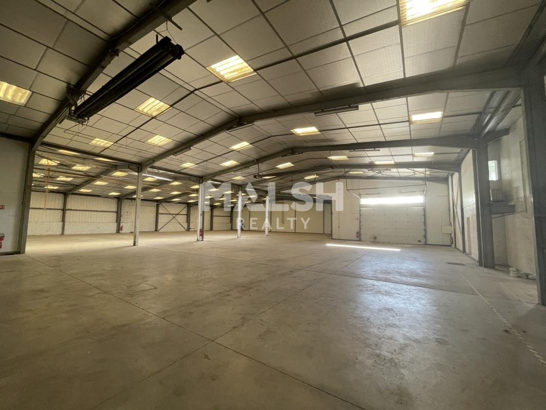 REXIM - Local d'activités - Rhône - Alix - 3