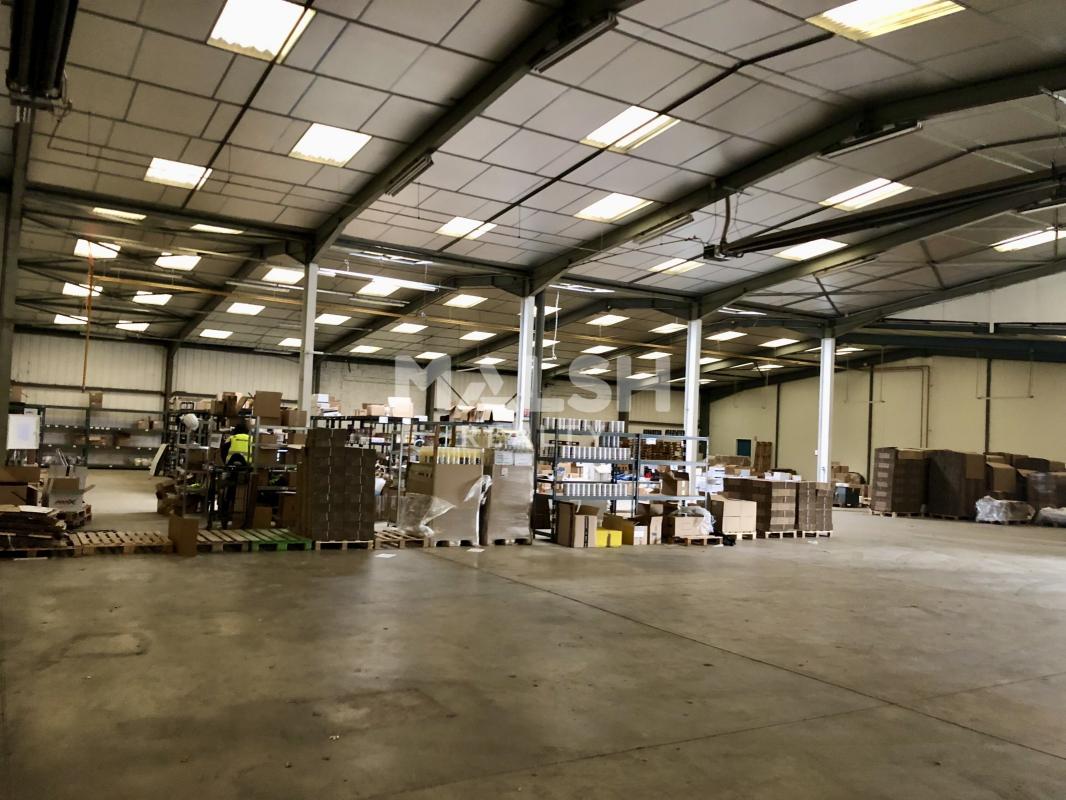 REXIM - Local d'activités - Rhône - Alix - 4