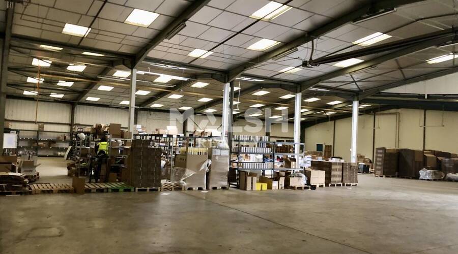 REXIM - Local d'activités - Rhône - Alix - 4