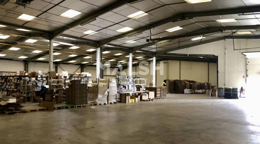 REXIM - Local d'activités - Rhône - Alix - 5