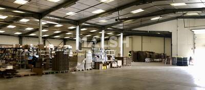 REXIM - Local d'activités - Rhône - Alix - 5