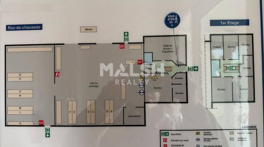 REXIM - Local d'activités - Rhône - Arnas - 10