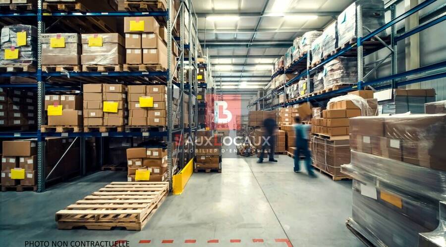 REXIM - Local d'activités - Vaucluse - Vedène - 3