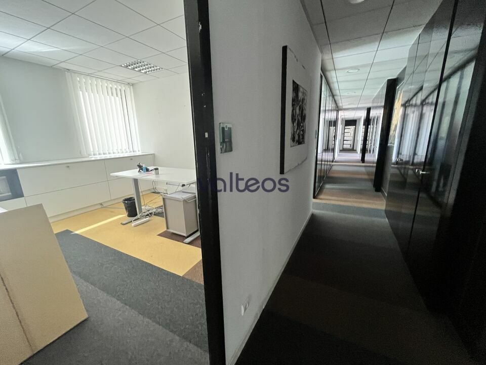 REXIM - Bureau - Haute-Garonne - Toulouse - 4