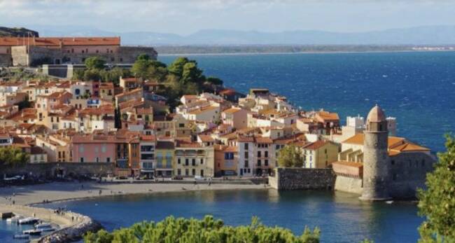 REXIM - Local commercial - Pyrénées-Orientales - Collioure - 1