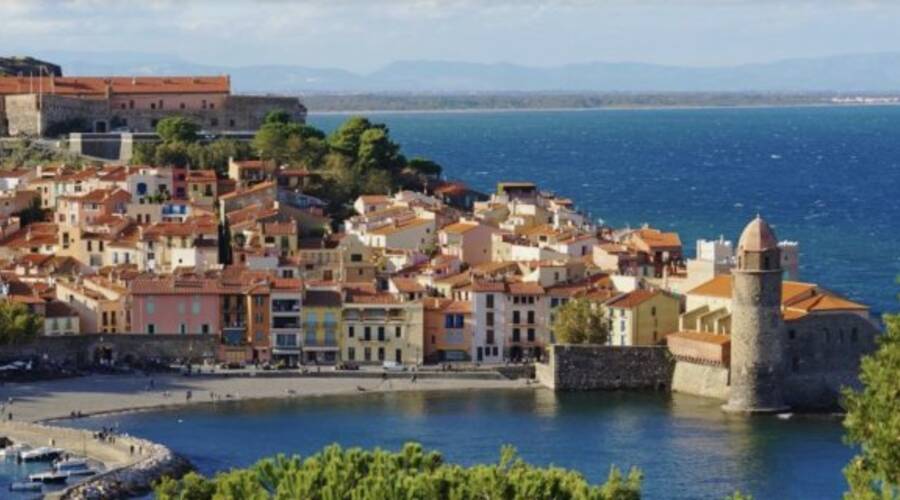 REXIM - Local commercial - Pyrénées-Orientales - Collioure - 1