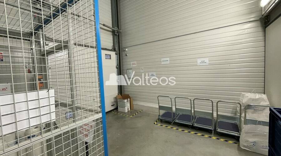 REXIM - Local d'activités - Haute-Garonne - Toulouse - 7