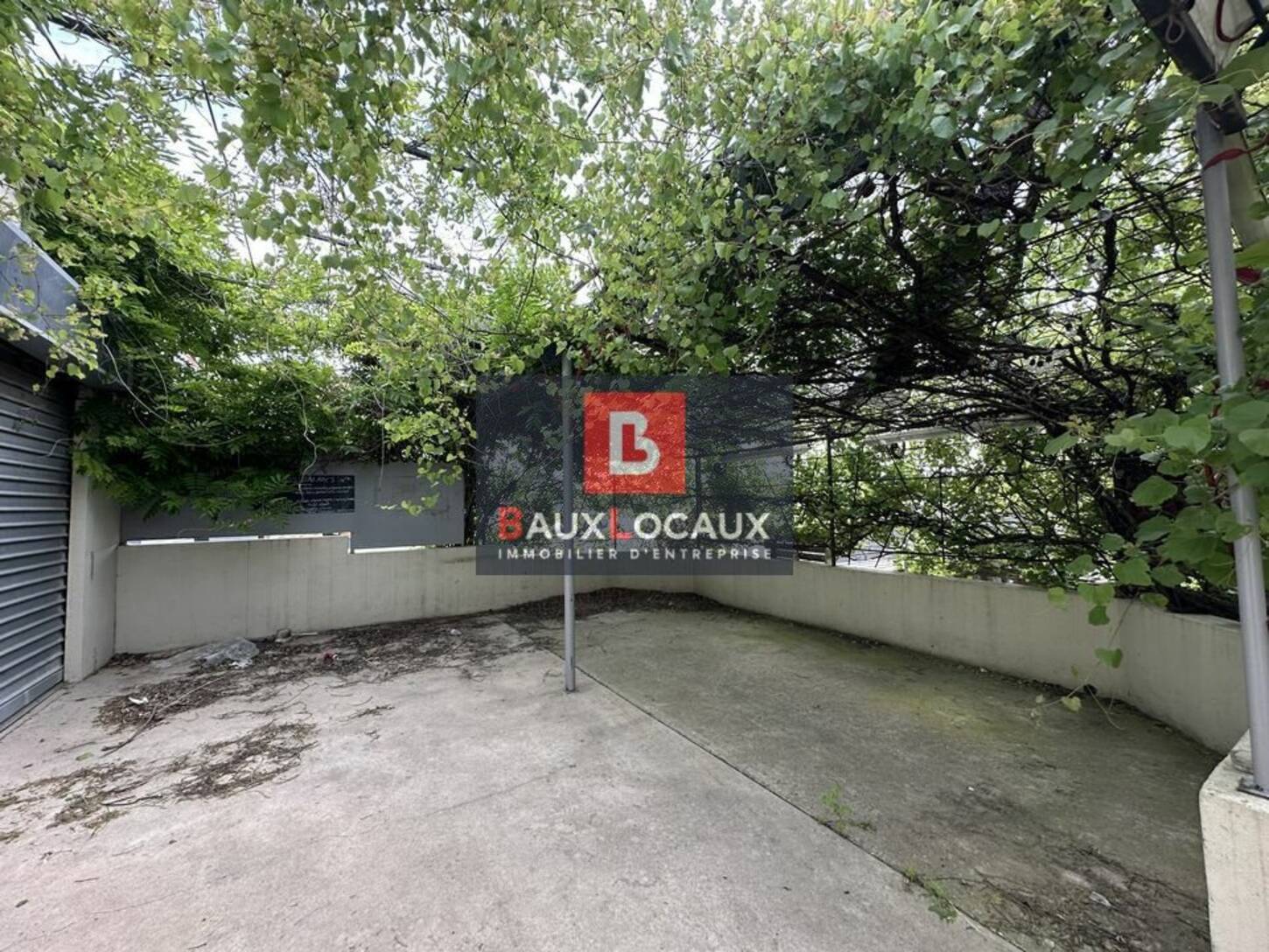 REXIM - Local commercial - Vaucluse - Le Pontet - 2