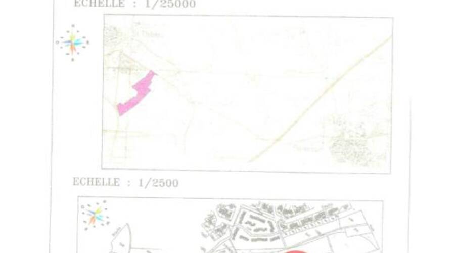 REXIM - Local d'activités - Hérault - Saint-Thibéry - 9