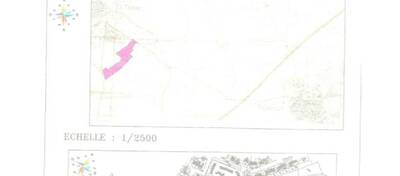 REXIM - Local d'activités - Hérault - Saint-Thibéry - 9