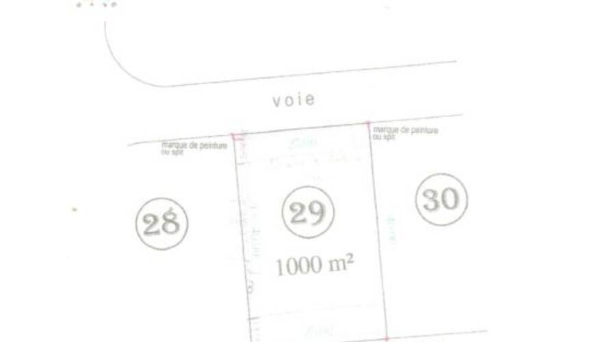 REXIM - Local d'activités - Hérault - Saint-Thibéry - 10