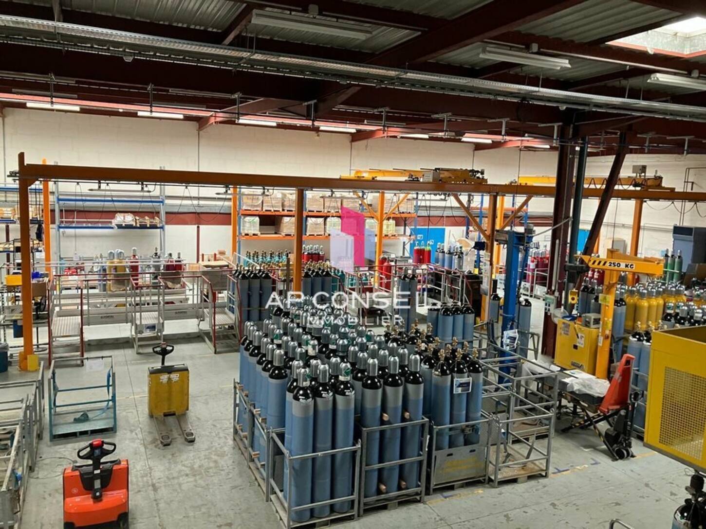 REXIM - Local d'activités - Yvelines - Buc - 2