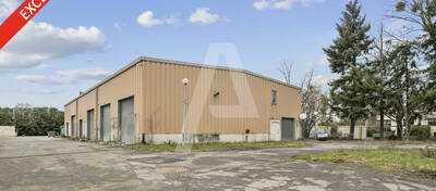 REXIM - Terrain - Saclay - 1