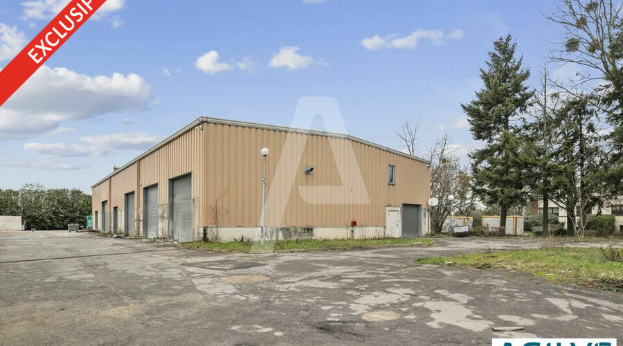 REXIM - Terrain - Saclay - 1