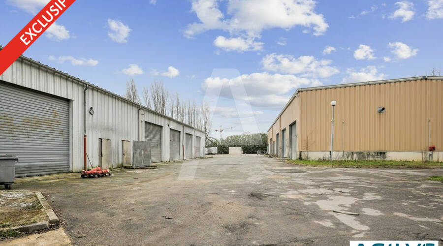 REXIM - Terrain - Saclay - 3