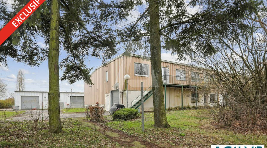 REXIM - Terrain - Saclay - 5