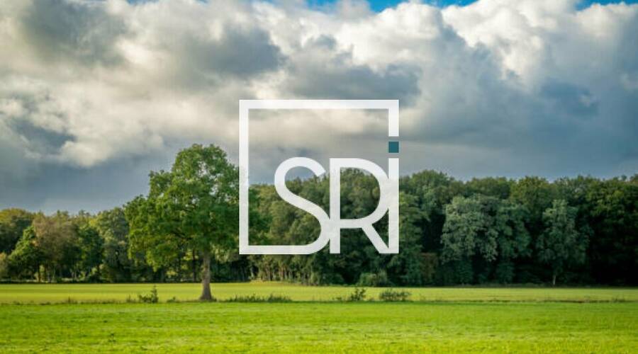 REXIM - Terrain - Allier - Cusset - 1