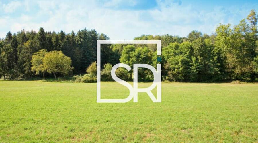 REXIM - Terrain - Allier - Cusset - 2