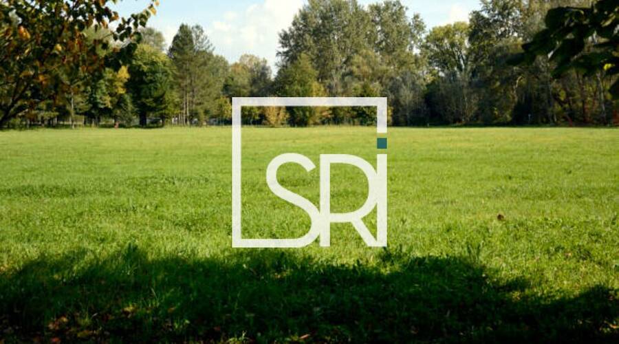 REXIM - Terrain - Allier - Cusset - 4