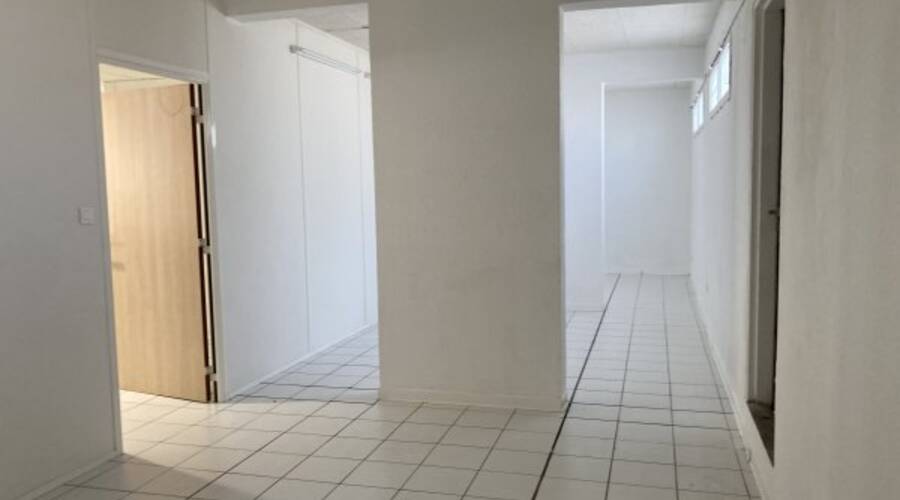 REXIM - Local d'activités - Pyrénées-Orientales - Perpignan - 2