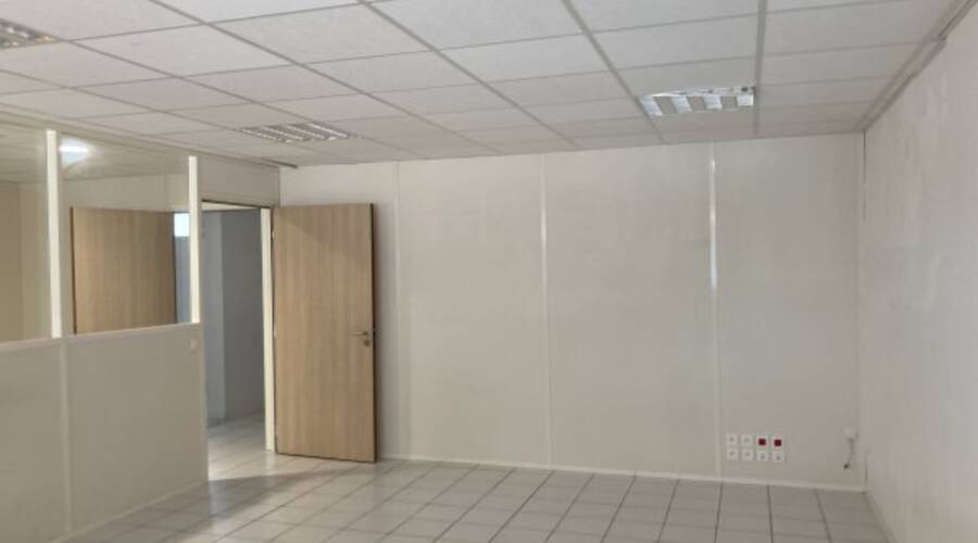 REXIM - Local d'activités - Pyrénées-Orientales - Perpignan - 4