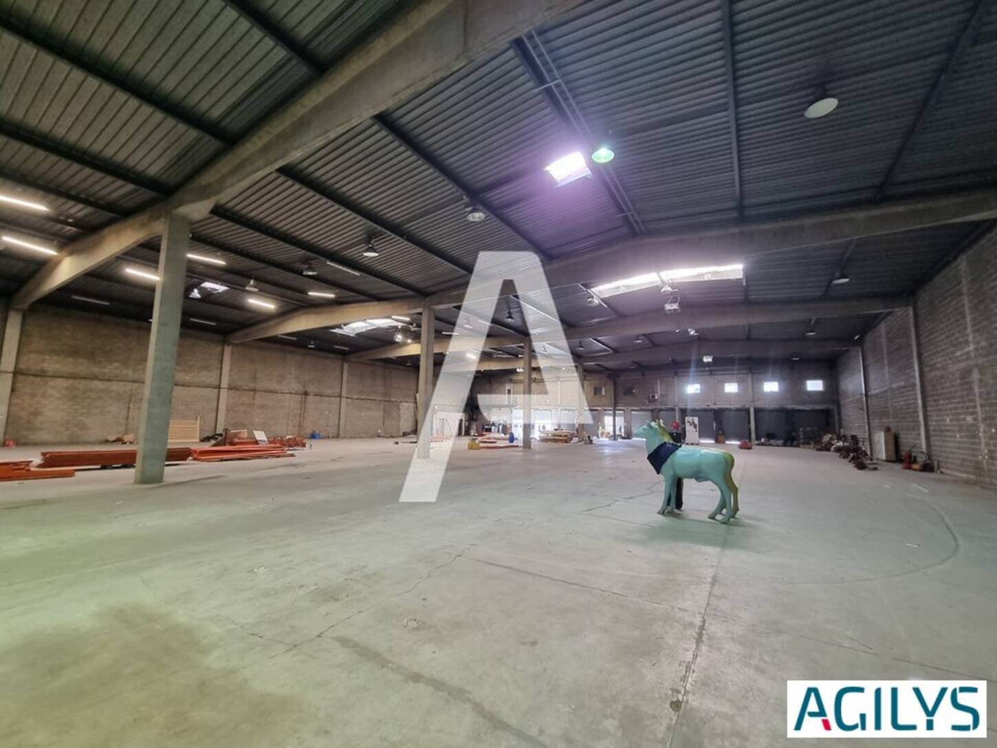 REXIM - Entrepôt - Morangis - 2