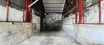 REXIM - Bureau - Haute-Garonne - Toulouse - 5