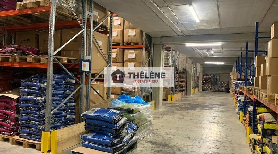 REXIM - Local d'activités - Hérault - Vendargues - 3