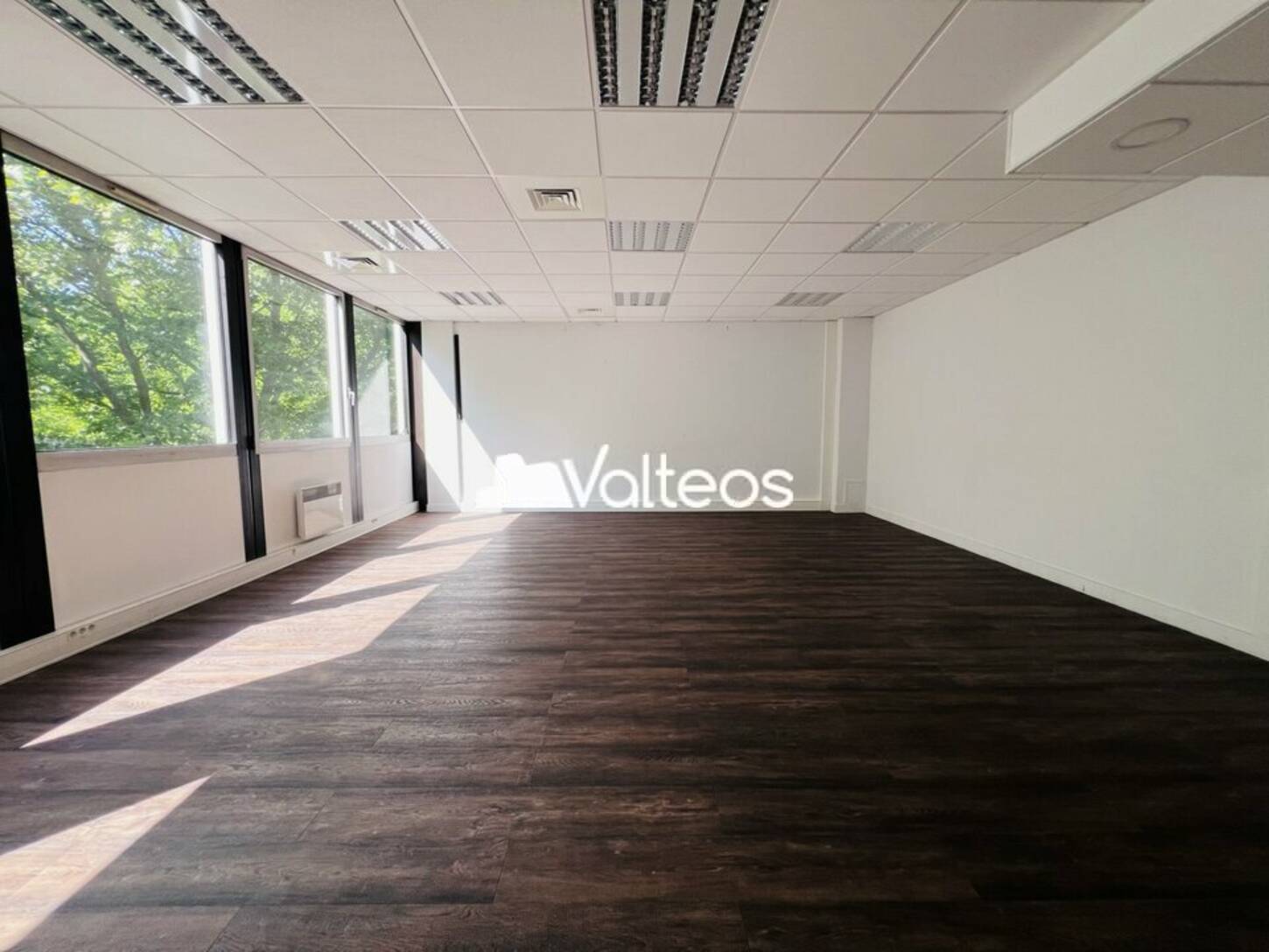 REXIM - Bureau - Haute-Garonne - Labège - 2