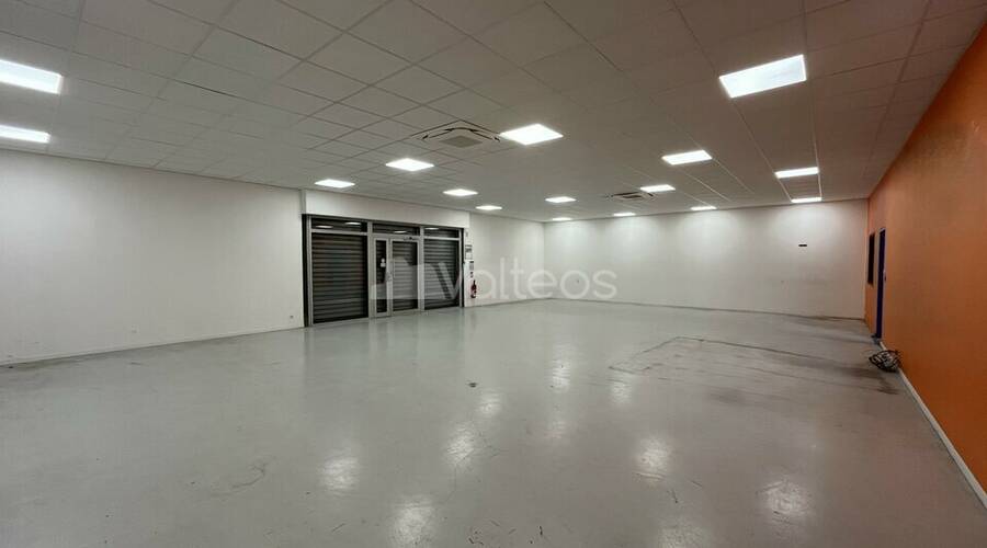 REXIM - Local d'activités - Haute-Garonne - Toulouse - 3