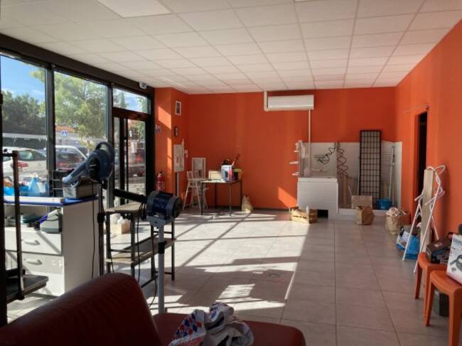 REXIM - Local d'activités - Pyrénées-Orientales - Toulouges - 1