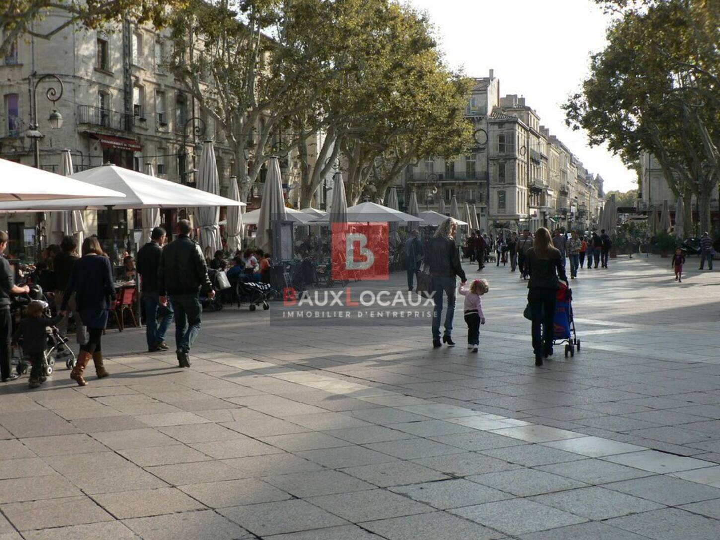 REXIM - Local commercial - Vaucluse - Avignon - 2