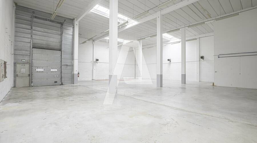 REXIM - Local d'activités - Émerainville - 3