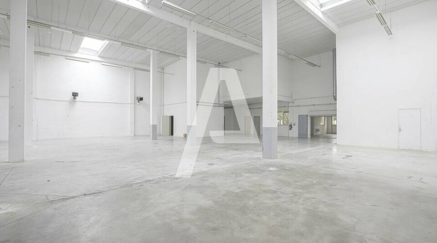 REXIM - Local d'activités - Émerainville - 4