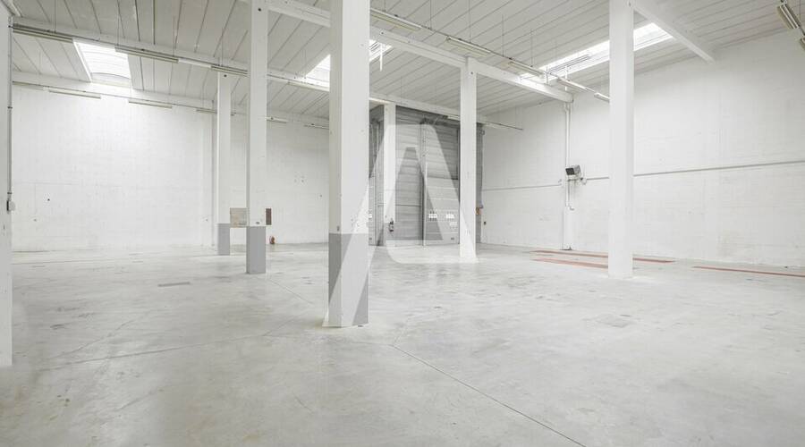 REXIM - Local d'activités - Émerainville - 5