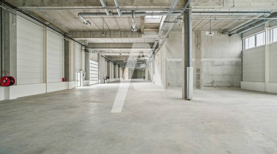 REXIM - Entrepôt - Vitry-sur-Seine - 1