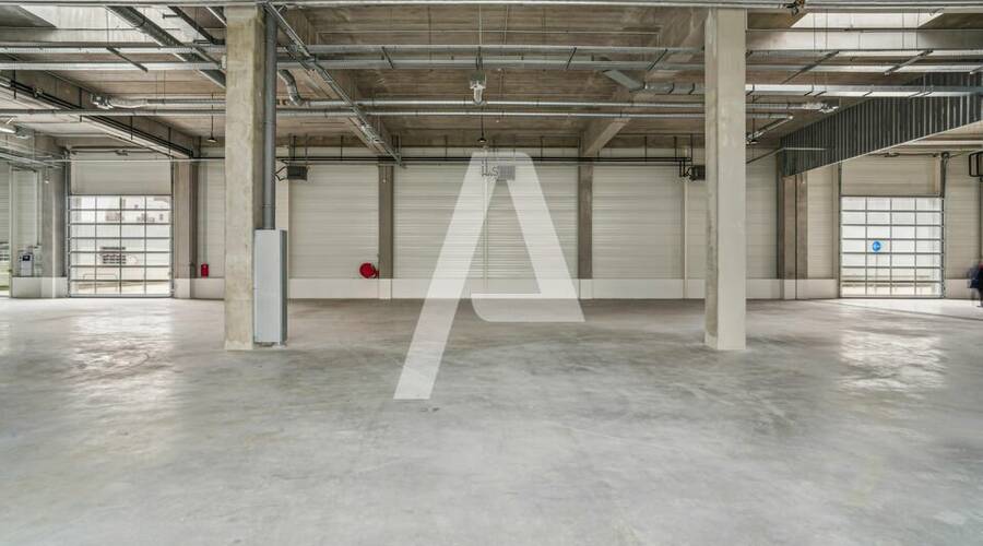 REXIM - Entrepôt - Vitry-sur-Seine - 3