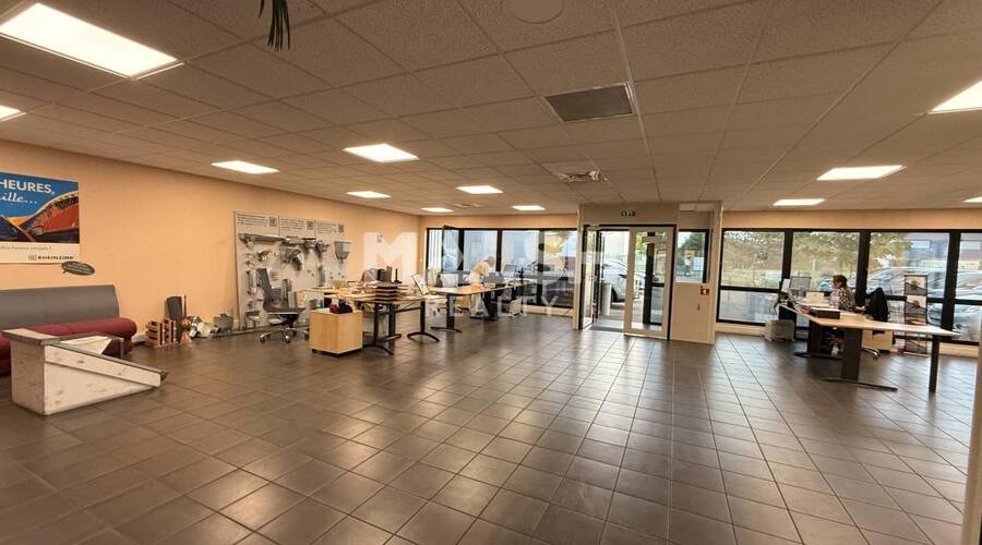 REXIM - Local d'activités - Rhône - Saint-Priest - 5