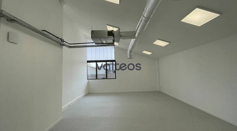 REXIM - Local d'activités - Haute-Garonne - Toulouse - 4