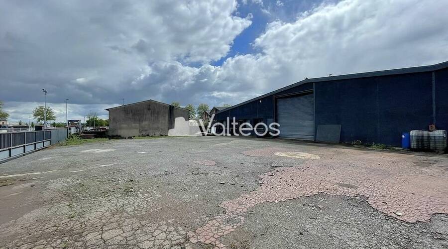 REXIM - Local d'activités - Haute-Garonne - Plaisance-du-Touch - 2