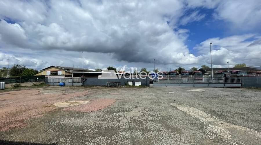 REXIM - Local d'activités - Haute-Garonne - Plaisance-du-Touch - 3