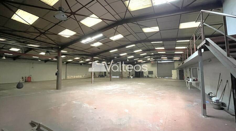 REXIM - Local d'activités - Haute-Garonne - Plaisance-du-Touch - 8