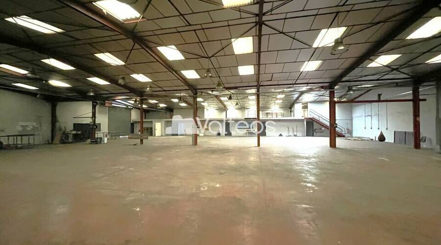 REXIM - Local d'activités - Haute-Garonne - Plaisance-du-Touch - 9