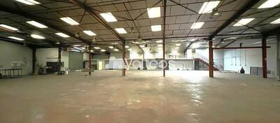 REXIM - Local d'activités - Haute-Garonne - Plaisance-du-Touch - 9