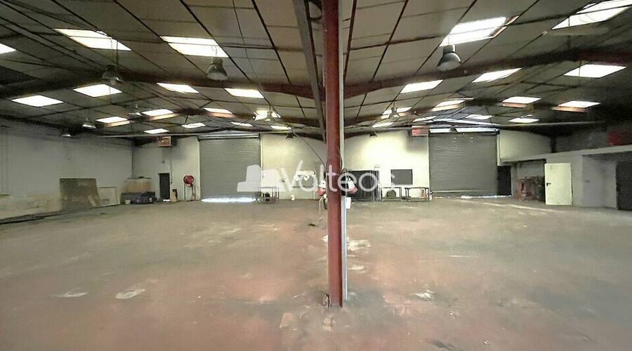 REXIM - Local d'activités - Haute-Garonne - Plaisance-du-Touch - 10