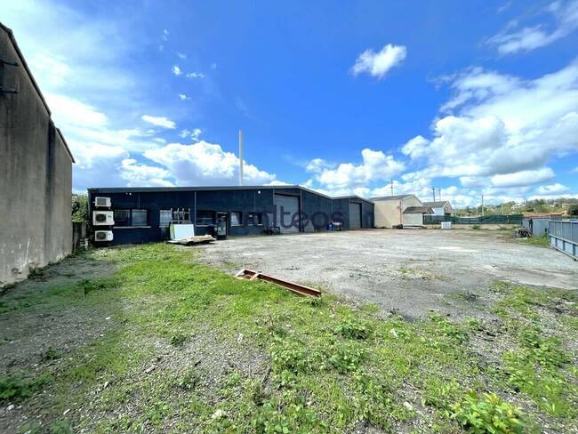 REXIM - Local d'activités - Haute-Garonne - Plaisance-du-Touch - 1