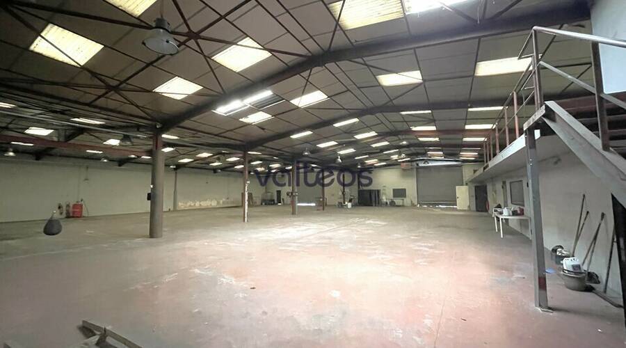 REXIM - Local d'activités - Haute-Garonne - Plaisance-du-Touch - 8