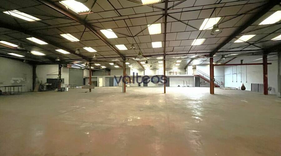 REXIM - Local d'activités - Haute-Garonne - Plaisance-du-Touch - 9